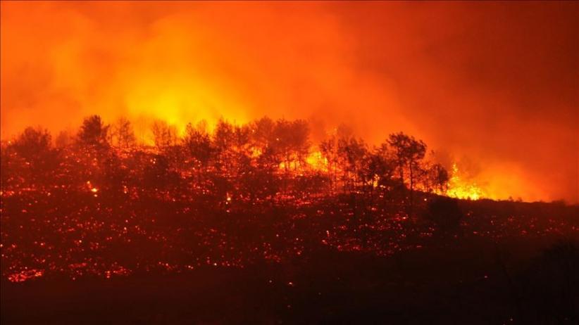 5 Hari Kebakaran Hutan yang Terjadi di Turki Sebabkan 8 Orang Tewas